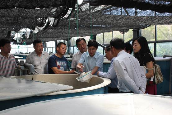 guanxinongye1.jpg